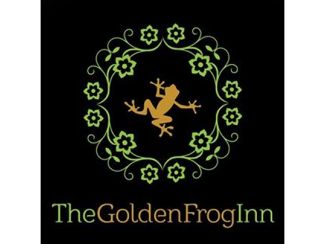 The Golden Frog Inn