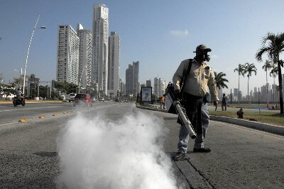 Panama, GM mosquitoes and the Zika Virus