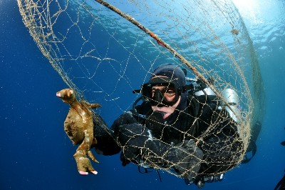 2,000 pounds of marine litter collected in Coclé