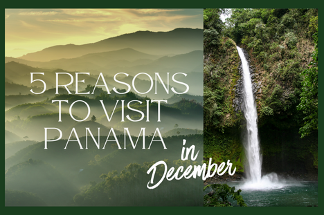 5 Reasons to Visit Panama in December