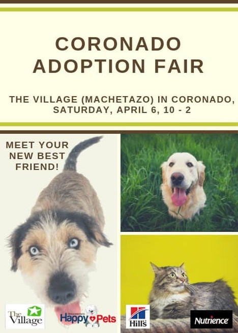 Adoption fair in Coronado