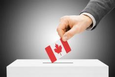 Canadian expats continue to fight for the right to vote
