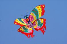 The 16th Festival of Kites and Tambourines