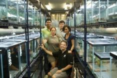 Amphibian Reintroduction begins in Panama