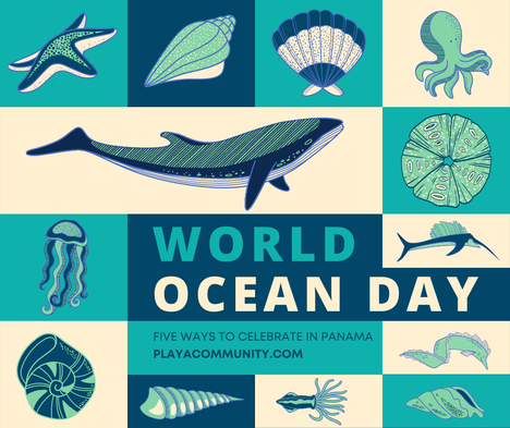Celebrate world ocean day 2022 in Panama 