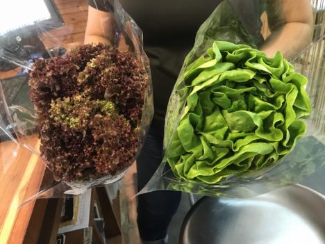 Organic Lettuce Available in Coronado