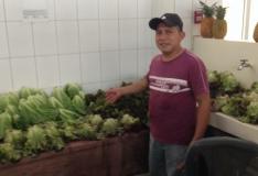 Shop at the Río Hato Market