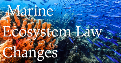 Bill weakens the protection of marine ecosystems in Panama