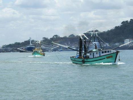 Panama works with ARAP to stop illegal fishing 