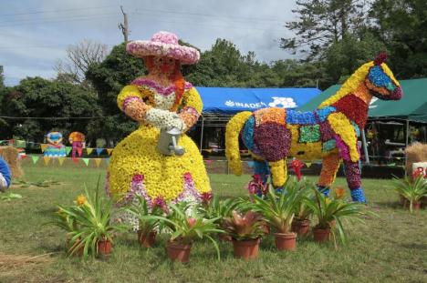 Flower Parade 2017 in the Chiriqui Highlands
