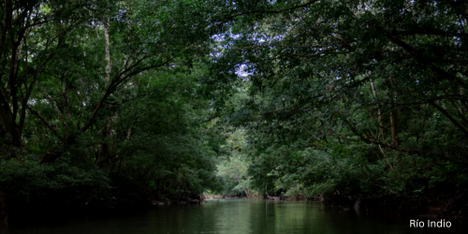 Panama Canal Authority Announces Río Indio Reservoir