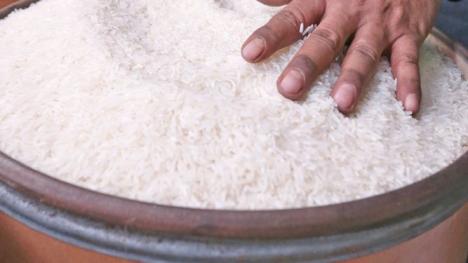Plan to Fortify Rice 