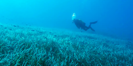 Panama to host next World Protected and Conserved Areas Congress