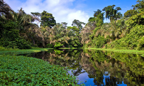 National Parks to visit in Panama 
