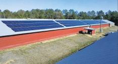 First solar powered poultry farm begins operation in Arenosa