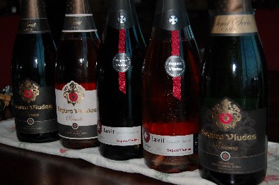 Segura Viudas: Sparkling Cava for Valentine’s Day