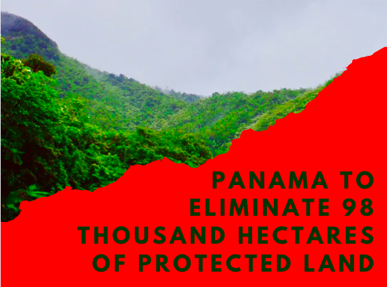 Panama to eliminate 98 thousand hectares of protected land