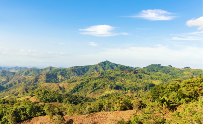 Microsoft backs Panama Reforestation Project With Rubicon Carbon & Carbon Steaming