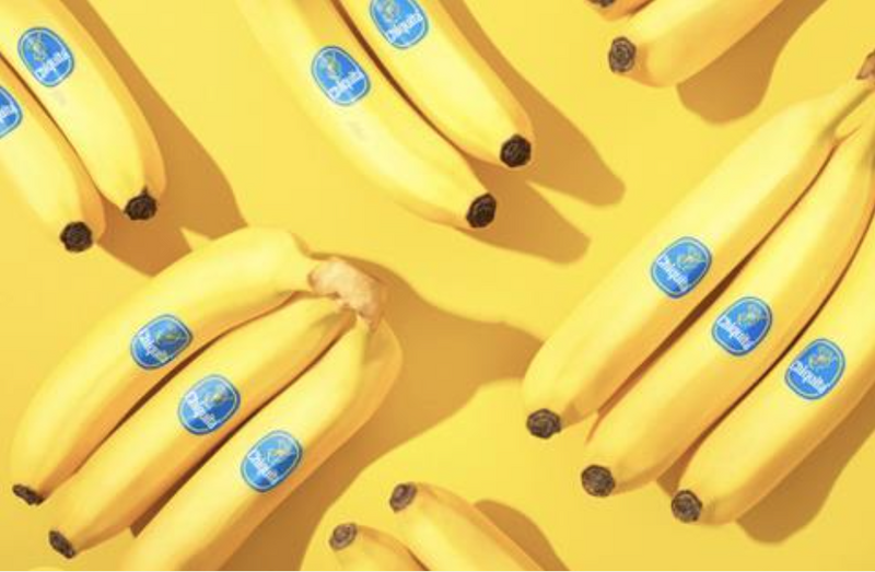 Chiquita Banana Resumes Operations in Panama
