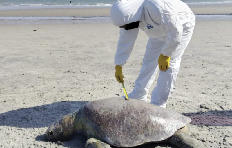 MiAmbiente Urges Citizen Reporting