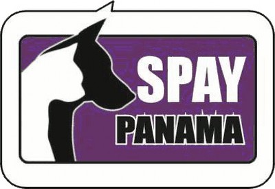 Updates from Spay Panama 