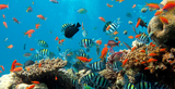 Panama Celebrates Oceans Month with Over 70 Conservation Initiatives