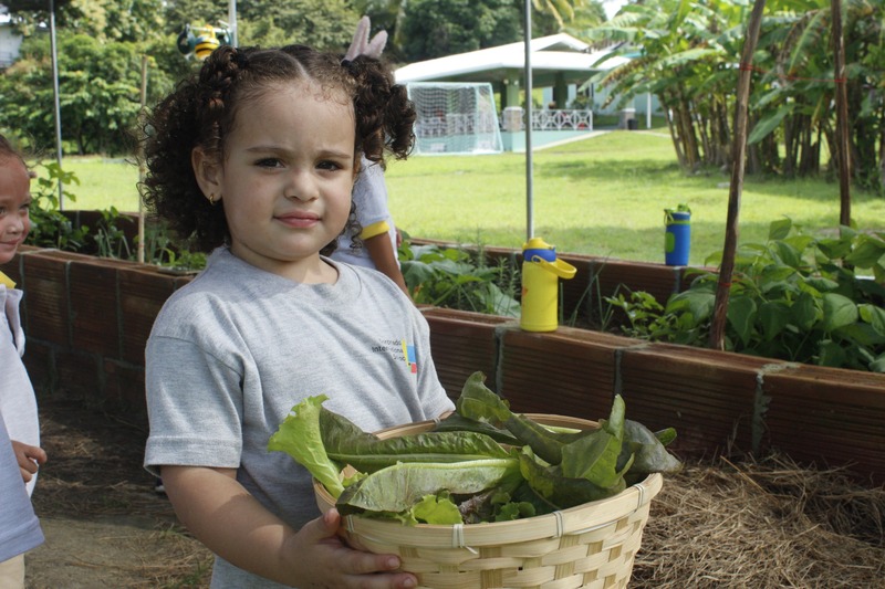 Coronado Community Garden Project